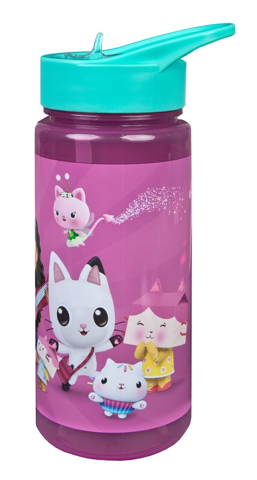 Gabby's dollhouse scooli bottle