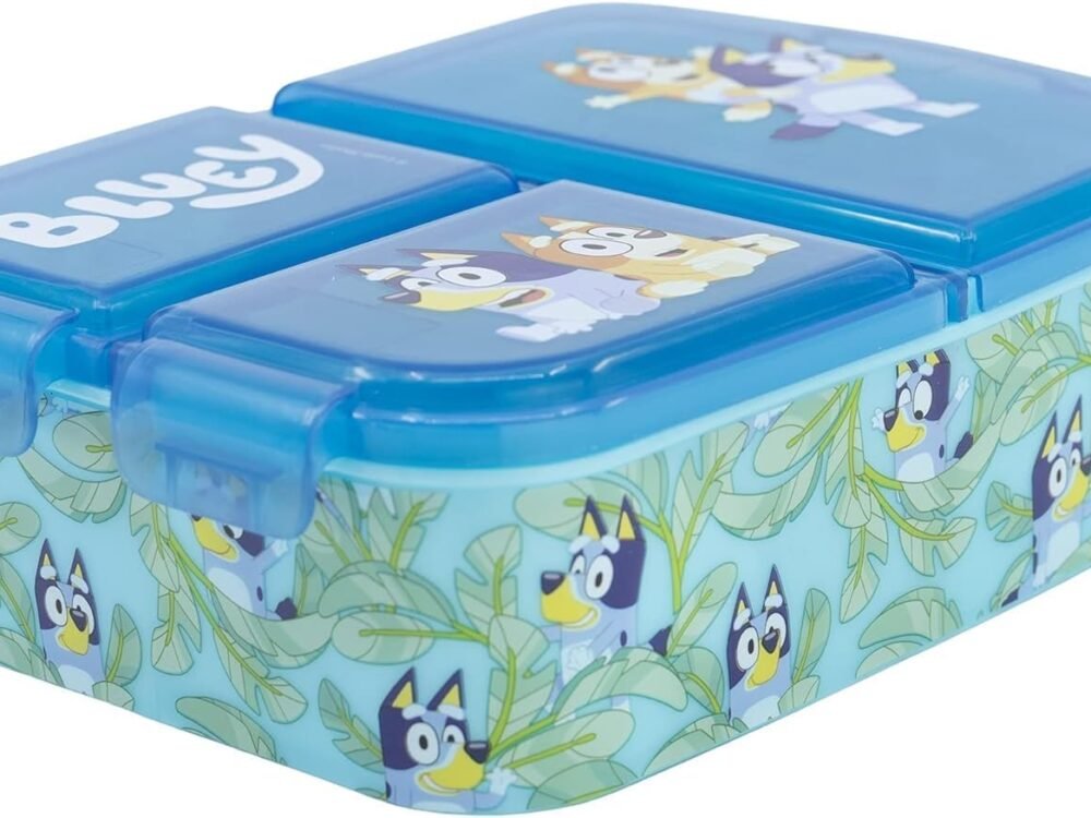 Bluey school lunchbox