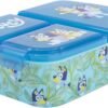 Bluey school lunchbox Bluey school lunchbox