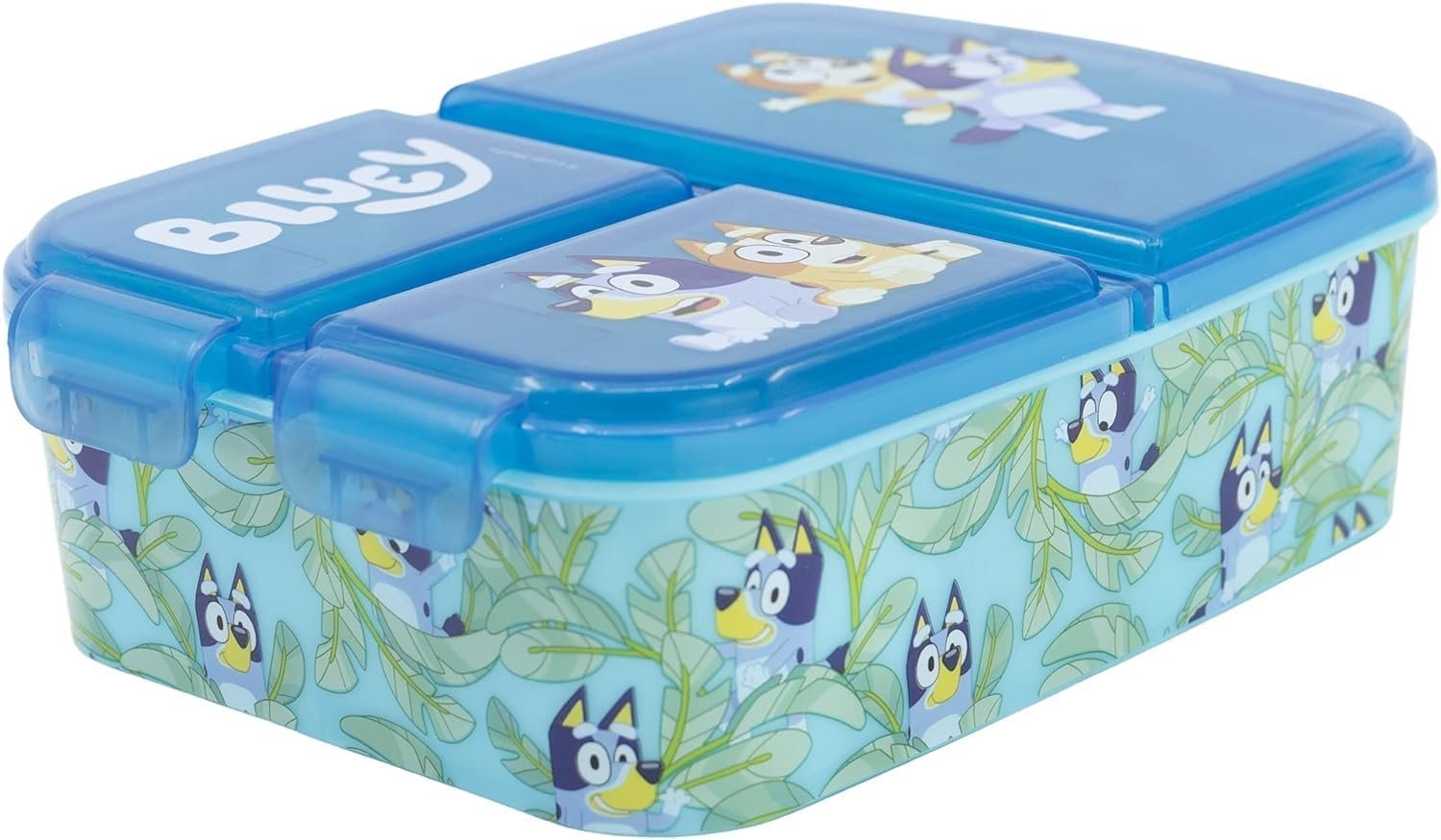 Bluey school lunchbox