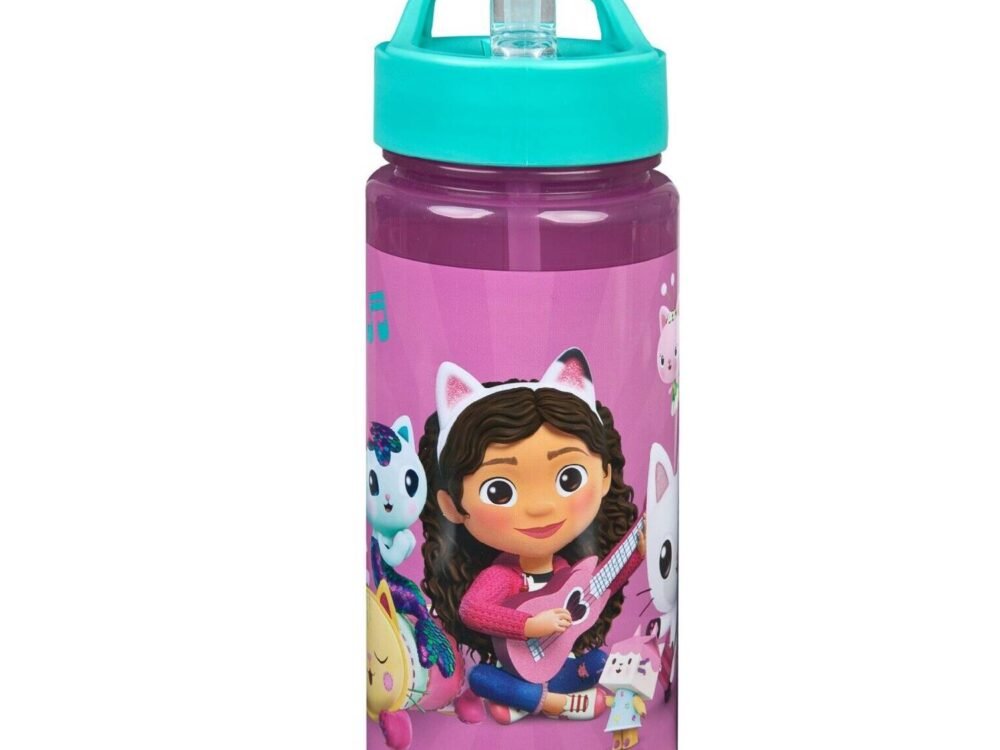 gabby's dollhouse scooli bottle