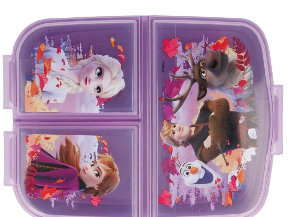 frozen 2 lunchbox